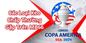 Các Loại Kèo Chấp Thường Gặp Trên VB66